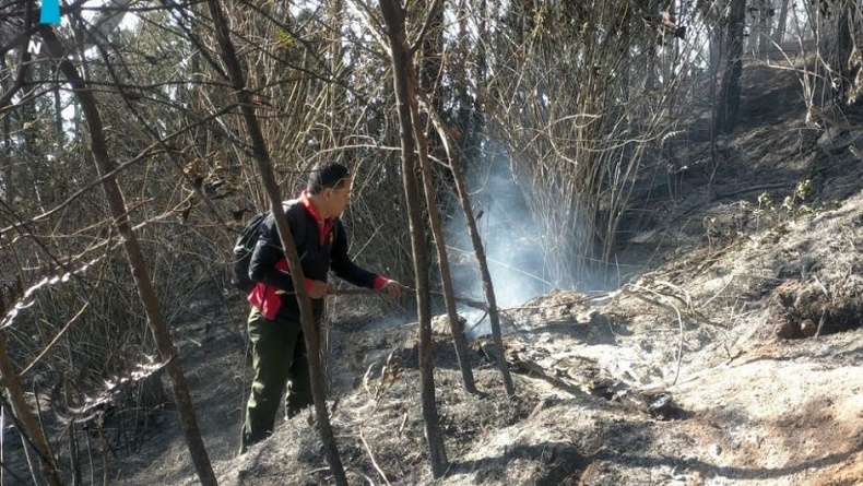 Kebakaran Gunung Kawi Malang Akhirnya Padam 46 Hektare Hutan Lindung