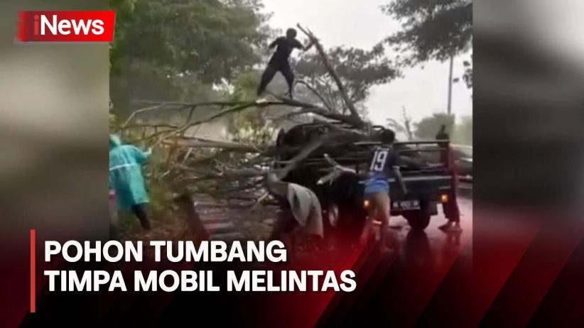 Pohon Tumbang Timpa Mobil Di Makassar Penumpang Terjebak