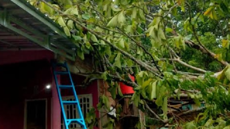 Hujan Deras Disertai Angin Kencang 97 Rumah Di Kalipapan Lampung Rusak