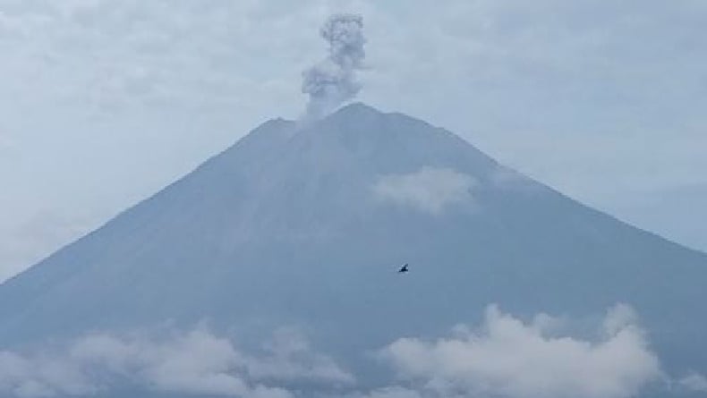 Gunung Semeru Erupsi Tinggi Letusan Capai Meter Di Atas Puncak