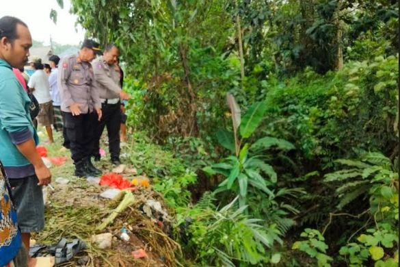 Kecelakaan Avanza Masuk Jurang Di Pandeglang Usai Hindari Tabrakan