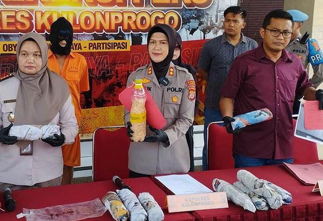 Polisi Gagalkan Penyelundupan 80 000 Benih Lobster Di Bandara YIA 1