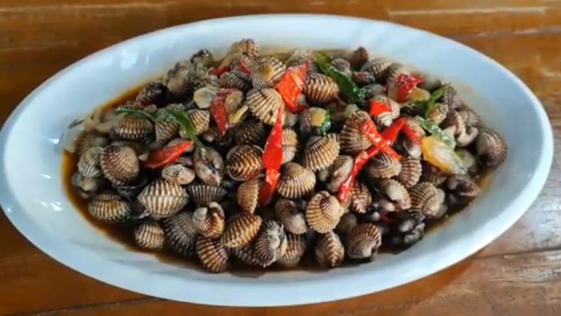 Kerang Dara Saus Tiram Bangka Kuliner Kaya Manfaat Bagi Kesehatan