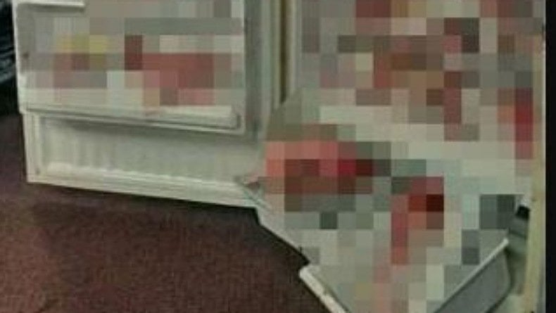 Mayat Perempuan Ditemukan Terpotong-potong 30 Bagian dalam Kulkas di Apartemen