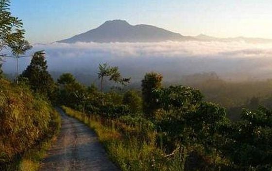 Pendaki Ditemukan Tewas di Puncak Gunung Pesagi, Proses Evakuasi Masih Berlangsung