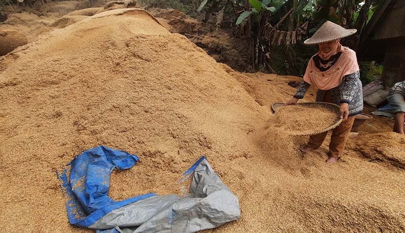 Menakar Peluang Indonesia Menuju Swasembada Pangan