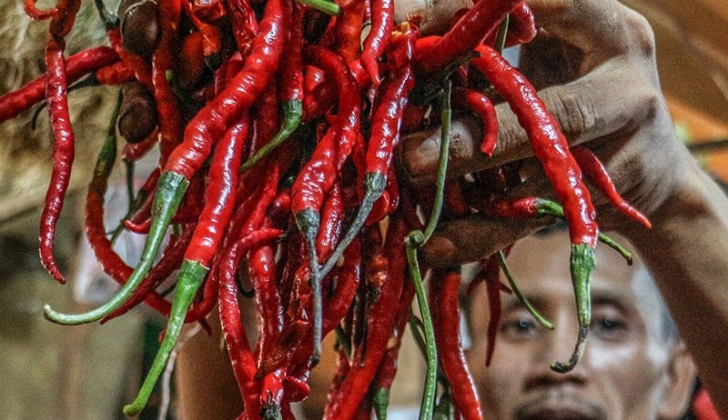 Harga Cabai Merah Keriting Hari Ini Makin Pedas, Tembus Rp60.500 per Kg