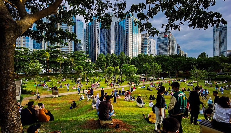 Pemprov DKI Kejar Target 30 Persen Ruang Terbuka Hijau di 2045