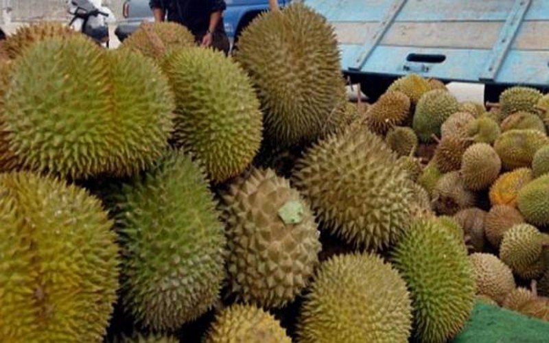 China Buka Keran Impor Durian Segar dari Malaysia, Indonesia Kapan Bisa Ekspor?