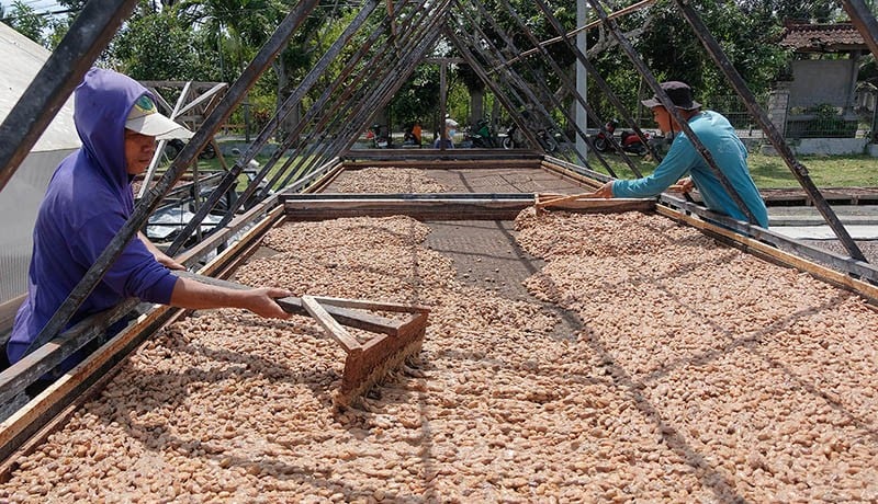 Prabowo Segera Teken Perjanjian Tarif Dagang Trump, Begini Tren Ekspor 3 Komoditas Unggulan RI