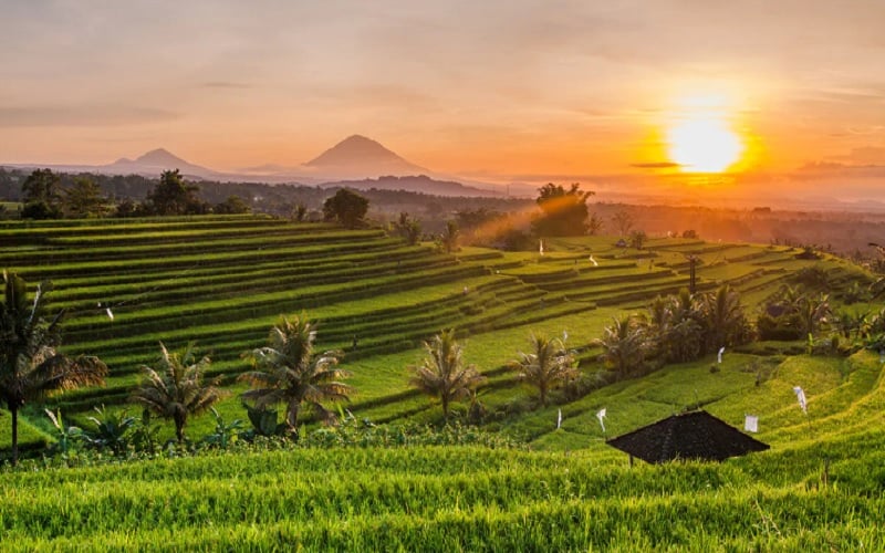 10 Tempat Nongkrong Murah di Ubud, Cocok untuk Backpacker