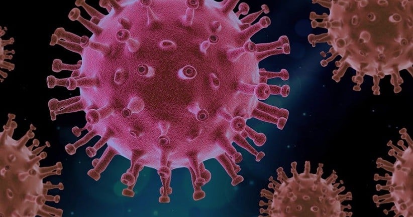Bandung Barat Diserang Virus Hanta, Penyakit Baru? 