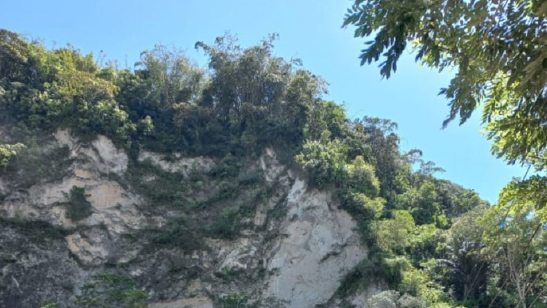 Longsor Terjang Ngarai Sianok Bukittinggi, Puluhan Warga Panik Dievakuasi