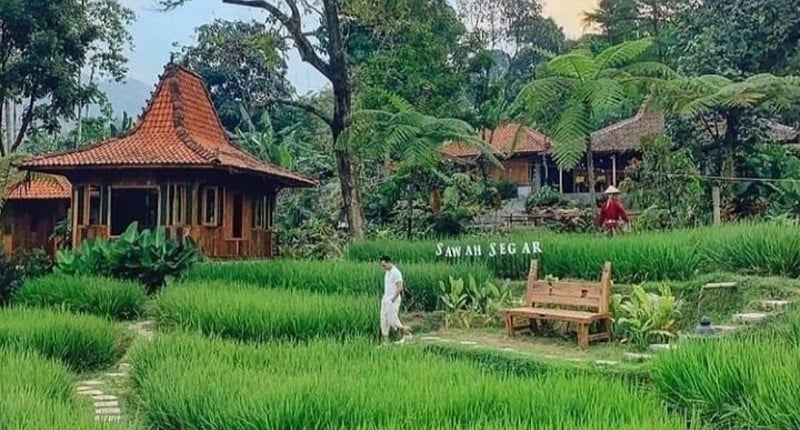3 Jalur Alternatif ke Sentul Bogor, Cocok Buat yang Doyan Touring atau Piknik Santuy!