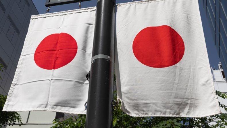  Nah! Jepang Bentuk Lembaga Khusus Tangani Warga Asing Pelaku Kriminal