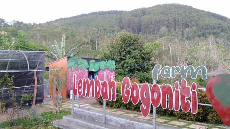 25 Tempat Wisata di Blitar,  Mengungkap Pesona Kota Soekarno