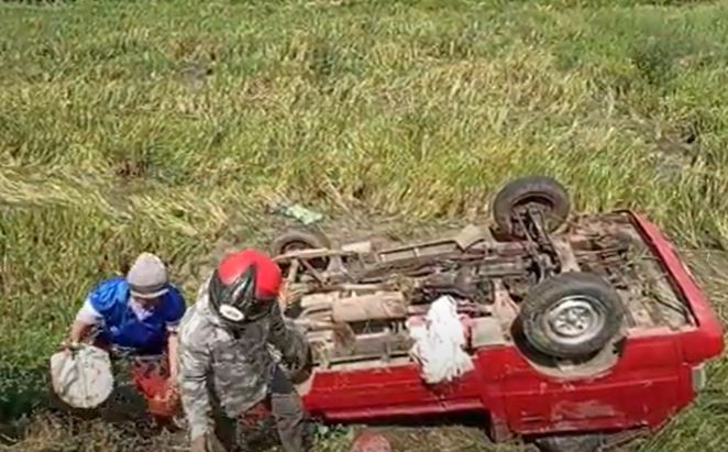 Kecelakaan di Kendal, Mobil Pikap Angkut Wisatawan Terbalik ke Sawah