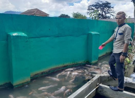 Berawal Hobi, Dede Supriadi Banjir Cuan lewat Budi Daya Ikan Nila