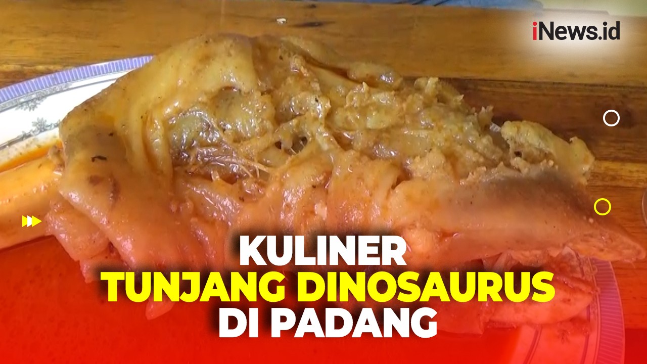 Menggiurkan, Sensasi Menyantap Kuliner Tunjang Dinosaurus yang Viral di Kota Padang