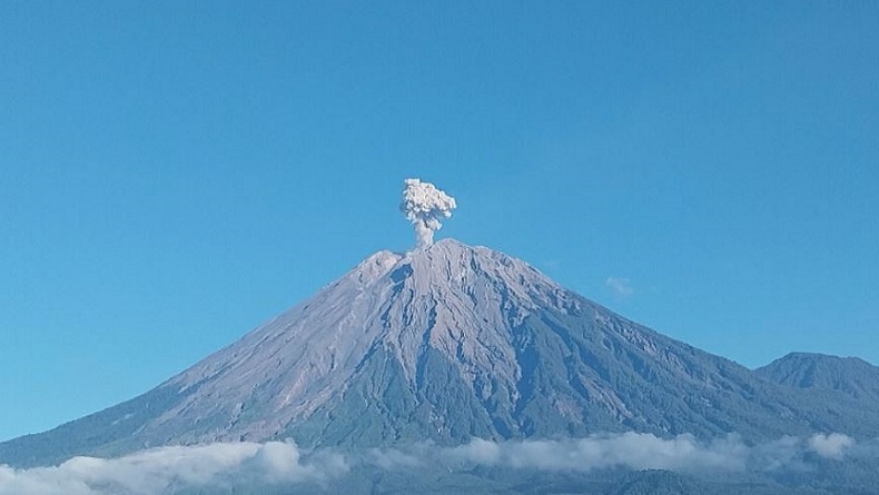 Gunung Semeru 4 Kali Erupsi Hari Ini, Semburkan Kolom Abu Setinggi 600 Meter