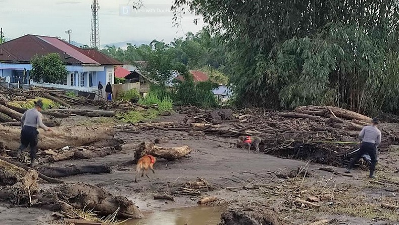 Tim Anjing Pelacak Dikerahkan Cari Korban Hilang Banjir Lahar Dingin di Sumbar
