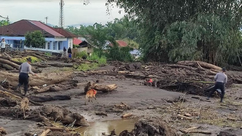 Tim Anjing Pelacak Dikerahkan Cari Korban Hilang Banjir Lahar Dingin di Sumbar