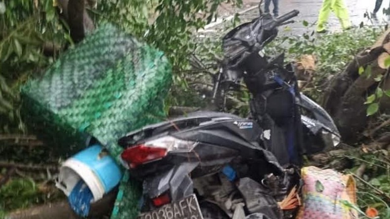 Tragis, Perempuan Pengendara Motor Tewas Tertimpa Pohon Tumbang di Medan