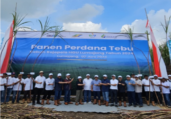 Dukung Swasembada, PTPN III Targetkan Produksi 8 Ton Gula per Hektare