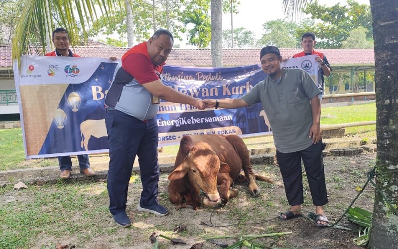 Berbagi Kebahagiaan, PHR Regional Sumatra Salurkan 514 Ekor Hewan Kurban