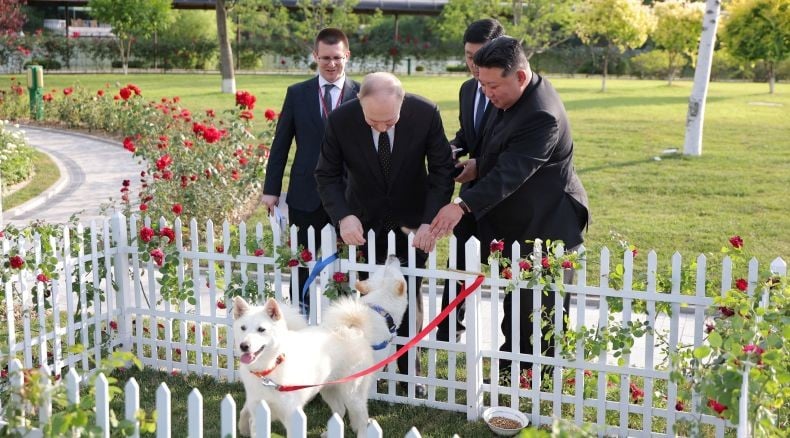 Diberi Mobil Limusin, Kim Jong Un Hadiahi Putin Sepasang Anjing Pungsan