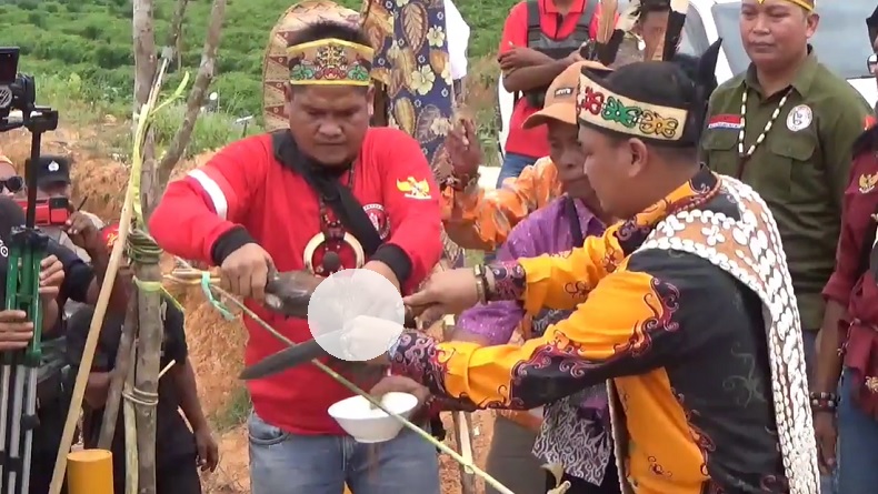 Ritual Adat, Aktivitas Perusahaan Sawit Dihentikan usai Rusak Situs Makam Suku Dayak