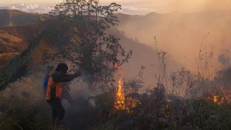 9 Titik Api Kebakaran Gunung Bromo Sudah Padam, Petugas Masih Siaga