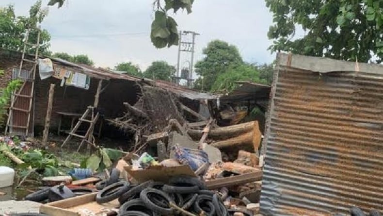 Pohon Jati Tumbang Timpa Bengkel di Deliserdang, 2 Orang Tewas Terjebak di Reruntuhan