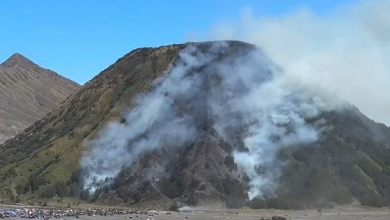 Kebakaran di Gunung Batok Meluas, Petugas Berjibaku Cegah Api Menyebar ke Gunung Widodaren