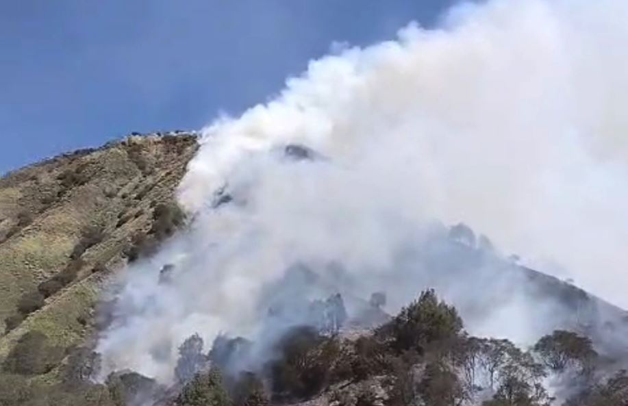 Kebakaran Gunung Batok, Kobaran Api dan Asap Terlihat Jelas dari Savana Bromo