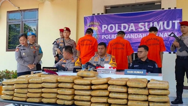 Polisi Tangkap 3 Kurir Narkoba di Madina, Bawa Ganja 100 Kg Menuju Sumbar