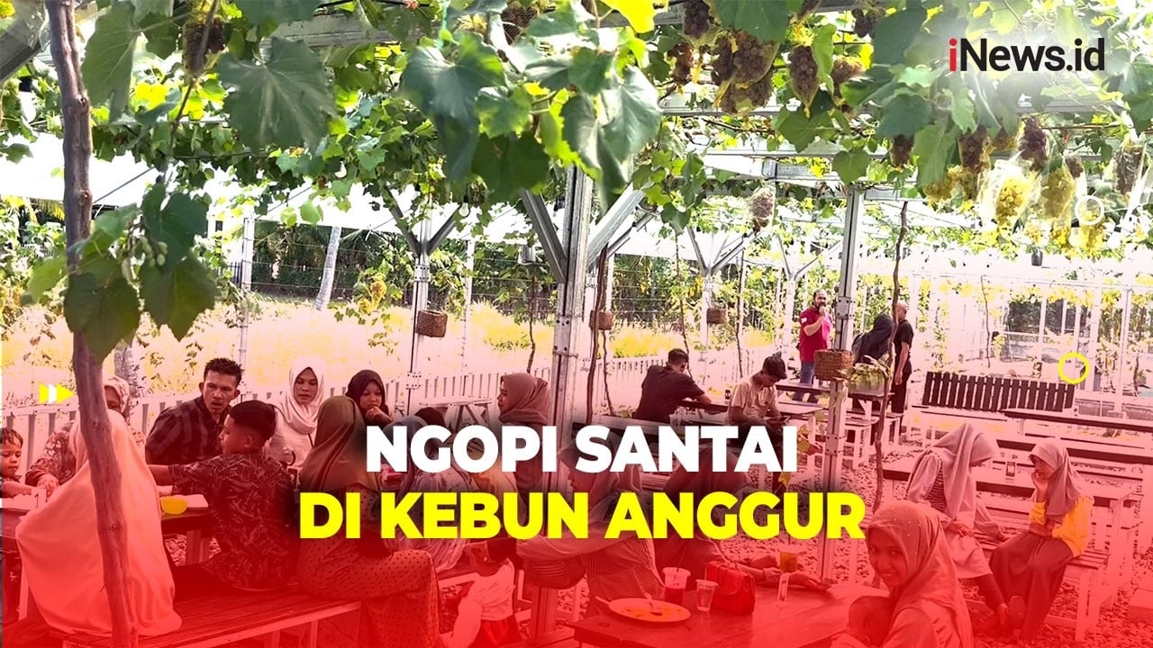 Rekomendasi Wisata, Menyeruput Kopi Sambil Belajar Menanam Anggur di Bireuen Aceh