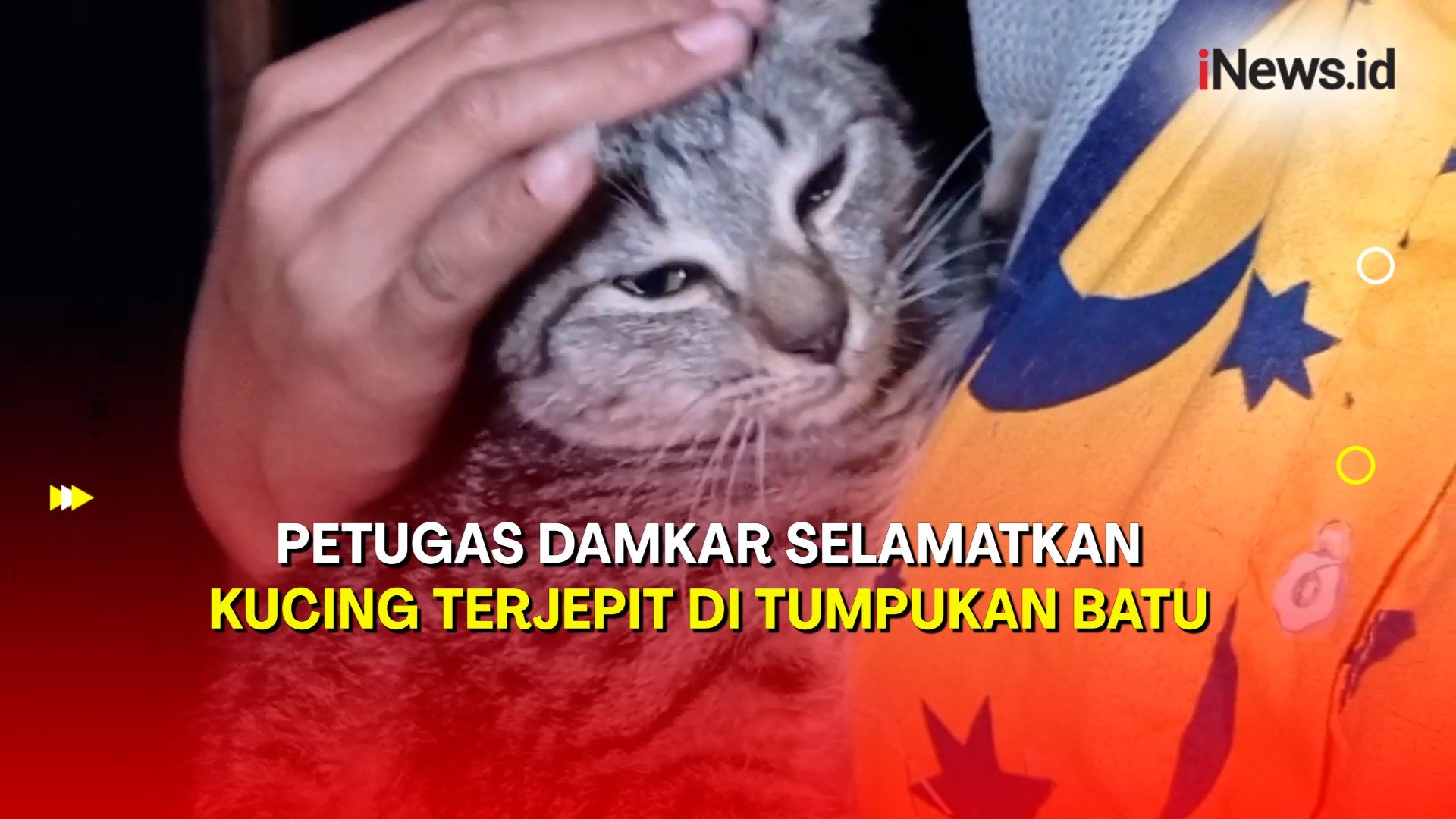 Dramatis! Aksi Petugas Damkar Selamatkan Kucing Terjepit di Tumpukan Batu 