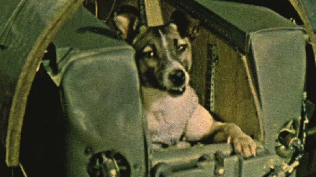 Kisah Sedih Laika, Anjing Pertama yang Dikirim ke Orbit Bumi