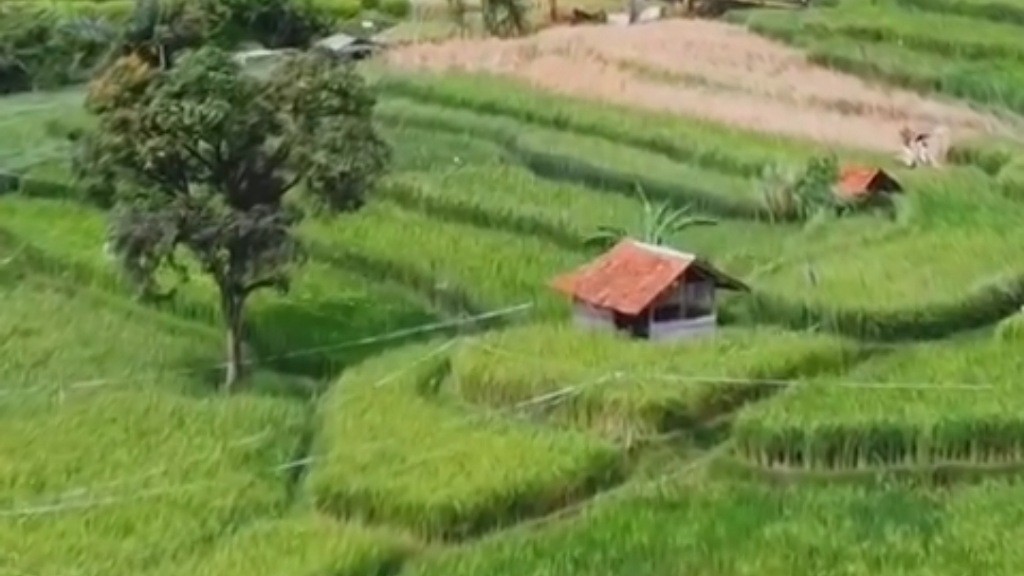 5 Desa di Subang Sangat Menakjubkan, Suasananya Sejuk Bikin Tenang Dikelilingi Sawah