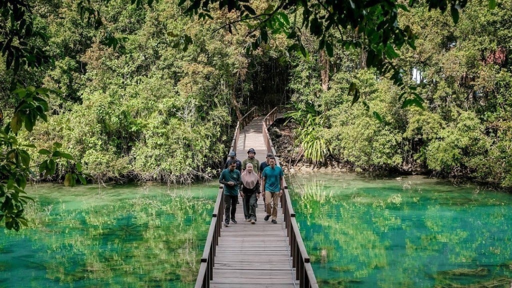 Ubur-Ubur Langka di Pulau Kakaban Hilang, Sandiaga Uno: Danaunya Ditutup untuk Pemulihan