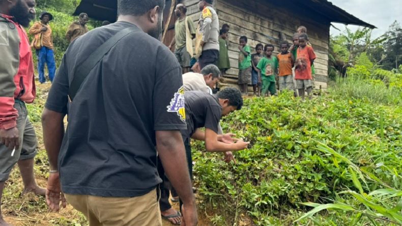 Polisi Selidiki Temuan Mayat Bocah Laki-Laki 9 Tahun di Kebun Jahe Dogiyai