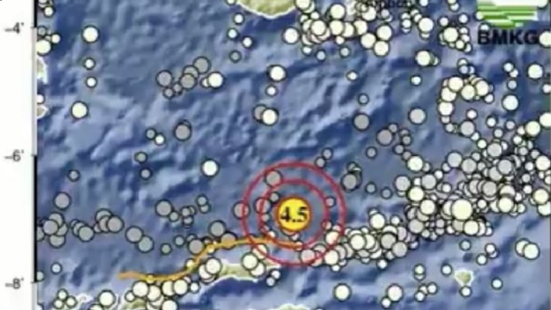 Gempa Bumi Hari Ini M4,5 Guncang Maluku Barat Daya