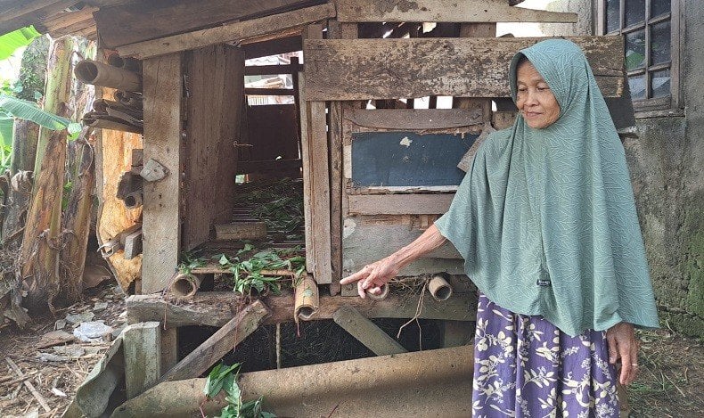 Maling Curi 5 Kambing Milik Tukang Becak di Bogor, Sisakan Jeroan