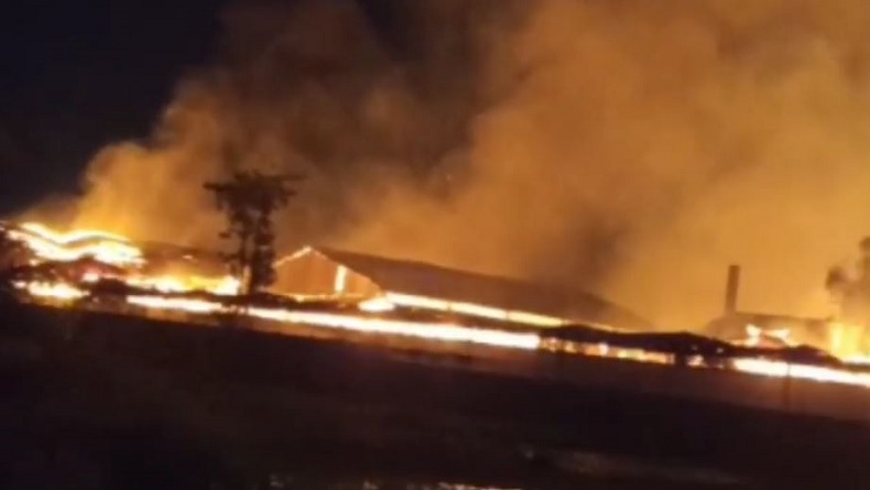 Kebakaran Hebat di Kawasan Industri Pasuruan, Api Berkobar di Pabrik Karton