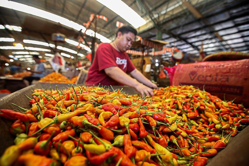 Pemprov DKI Borong 1,4 Ton Cabai Petani Aceh Terdampak Bencana, Distribusikan ke Pasar