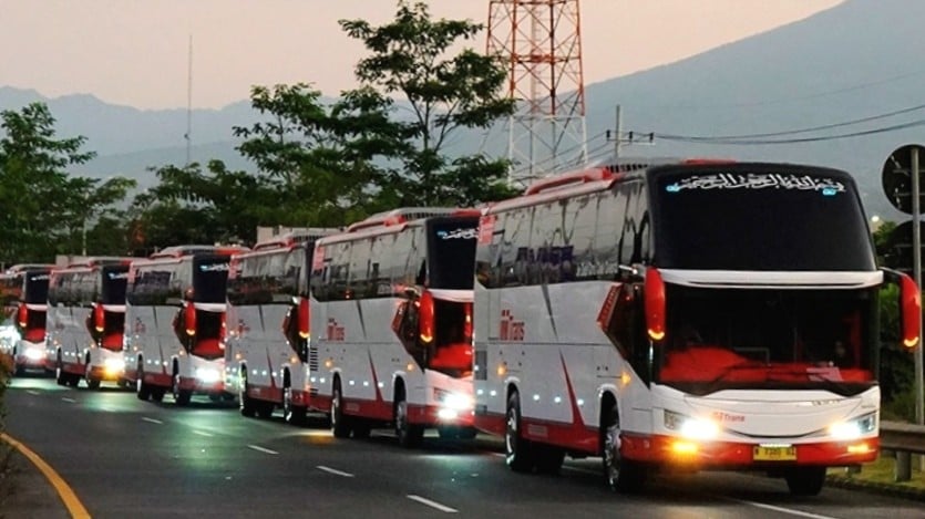 The Real Sultan, PO MTrans Borong 26 Bus Baru Dilengkapi Kandang Macan