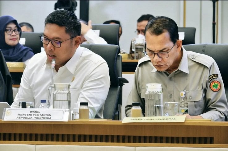 Pagu Anggaran Kementan di 2025 Naik Jadi Rp29,37 Triliun, Berikut Rinciannya