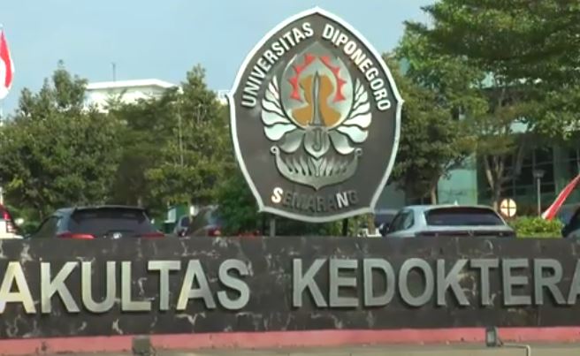 Kasus Bullying dr Aulia Risma, Undip Minta Penghentian Sementara PPDS Anestesi Dicabut