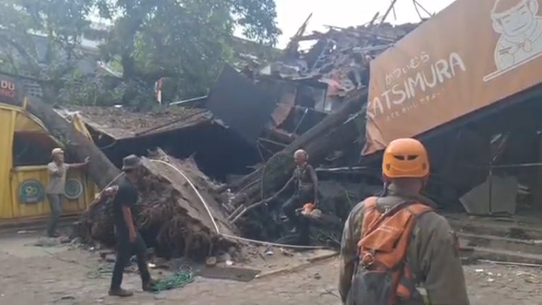 Pohon Besar Tumbang di Bandung Timpa 3 Rumah Makan dan 2 Kios, 1 Orang Dilarikan ke RS